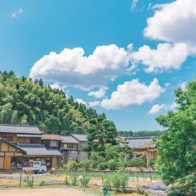 天天农场单机破解版下载
